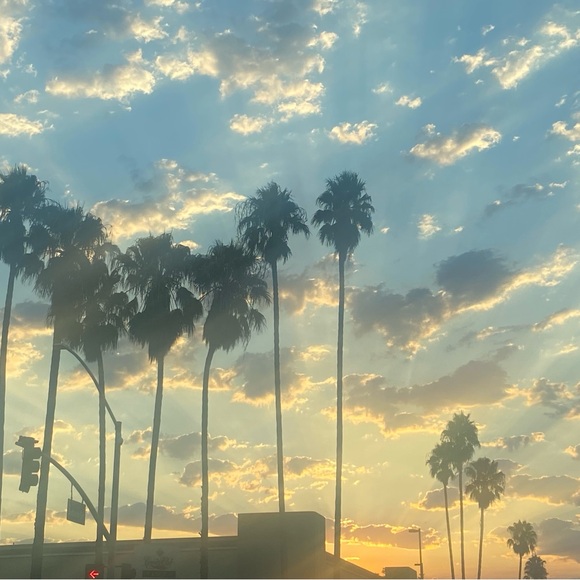 _b_a_b_e_l_a_n_d_ _ - Picture 5 of 11